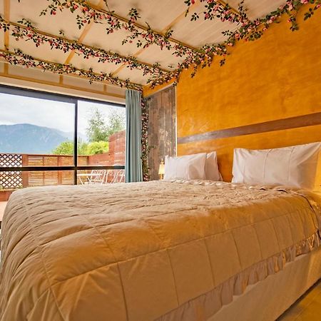 Bed and Breakfast Waikoura Springs Кайкоура Экстерьер фото